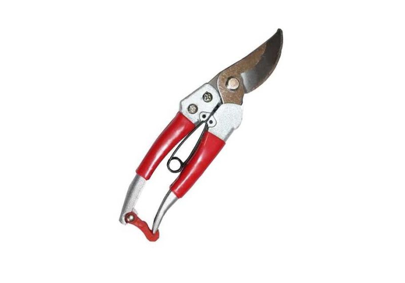 pruning shears,
pruning shears tool