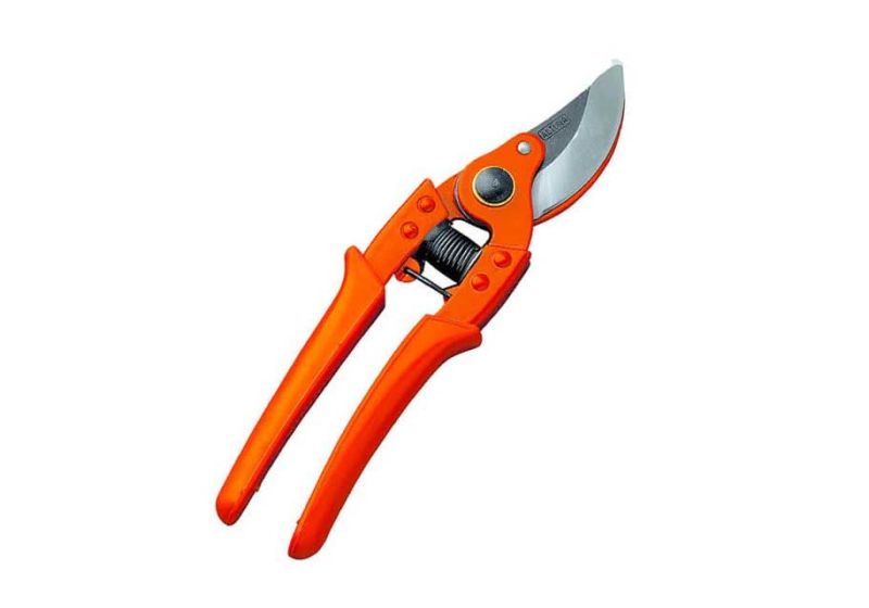 pruning shears,
pruning shears tool