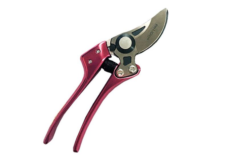 pruning shears,
pruning shears tool