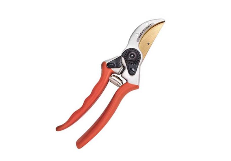 pruning shears picture,
best pruning shears