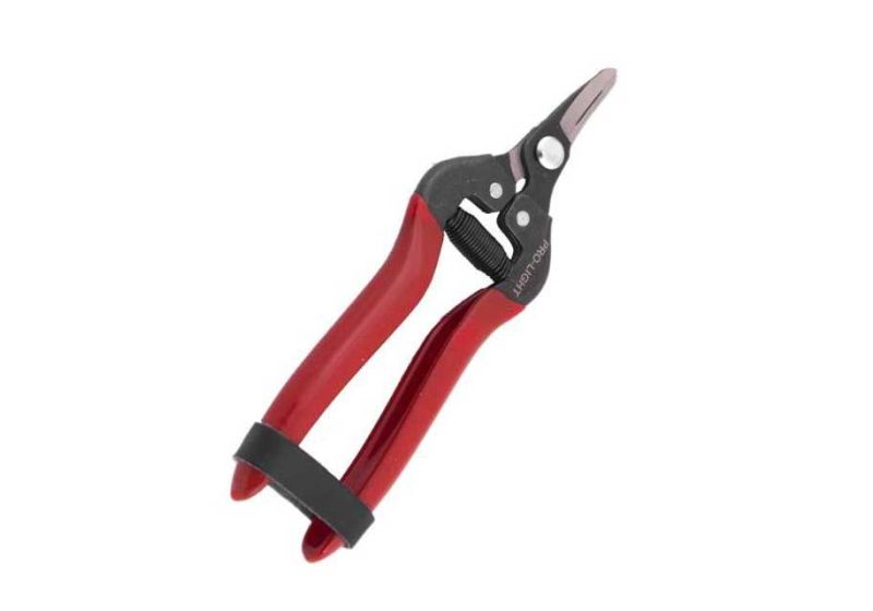 pruning shears,
pruning shears tool