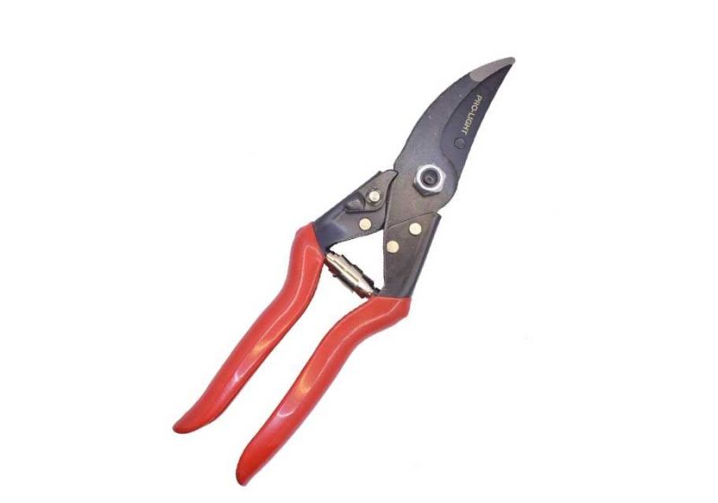 pruning shears, best pruning shears