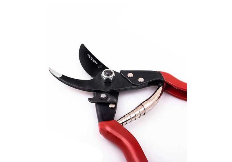 pruning shears tool,
pruning shears picture