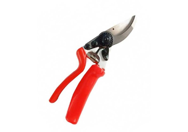 pruning shears,
pruning shears tool