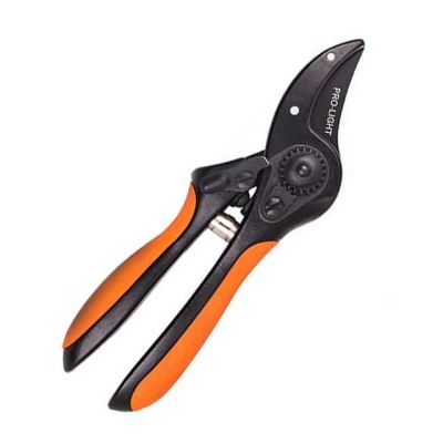 pruning shears, pruning shears picture