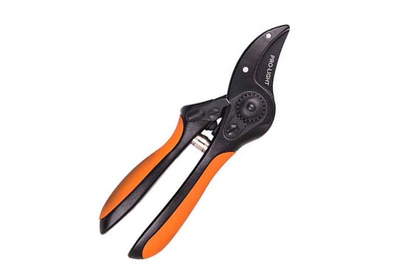 pruning shears, pruning shears picture