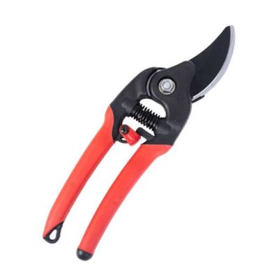 pruning shears picture,
best pruning shears