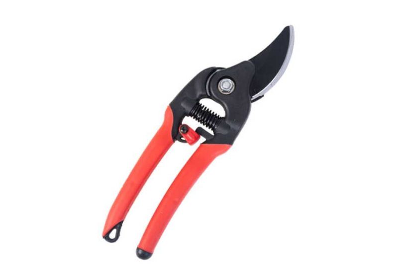 pruning shears picture,
best pruning shears
