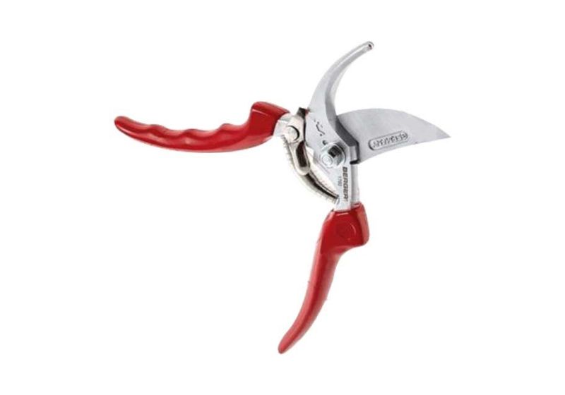pruning shears tool,
pruning shears picture