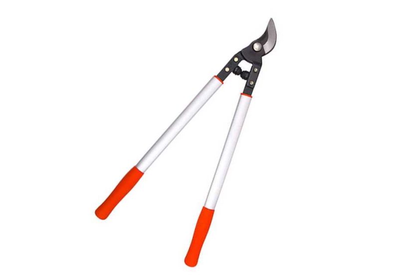 قیچی شاخه زن