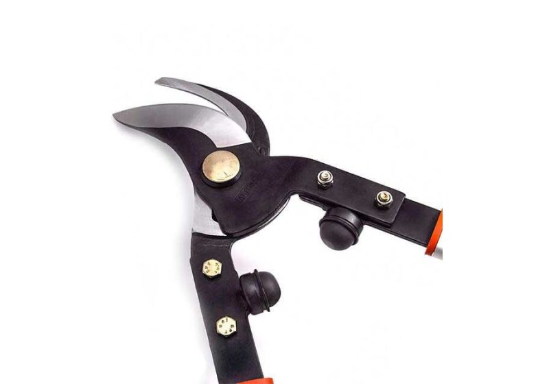 branch scissors,
branch cutter scissors