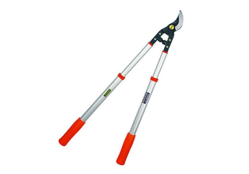 branch scissors,
telescopic lopping shears