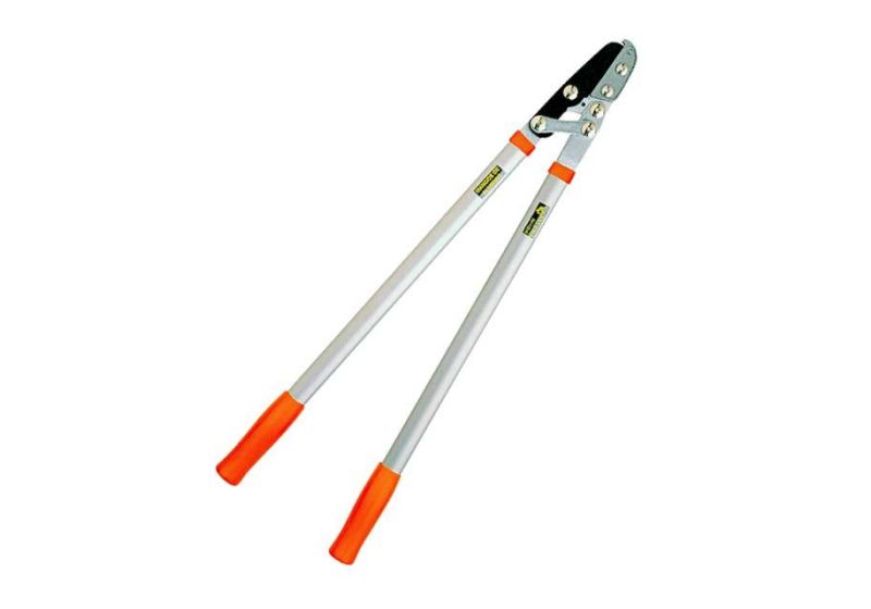 قیچی شاخه زن