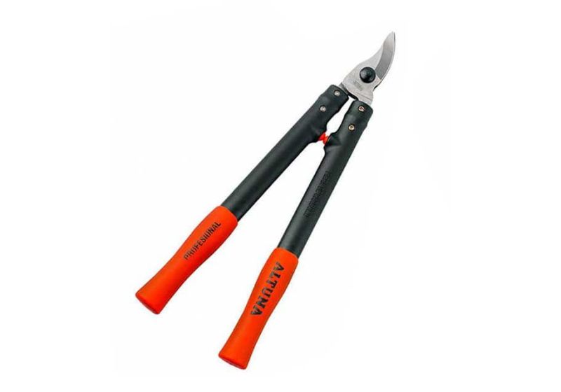lopping shears price,
best telescopic lopping shears