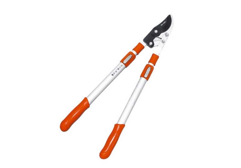 lopping shears price,
best telescopic lopping shears
