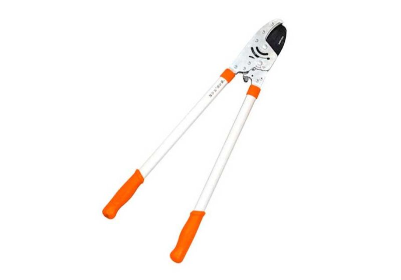 telescopic lopping shears,
lopping shears