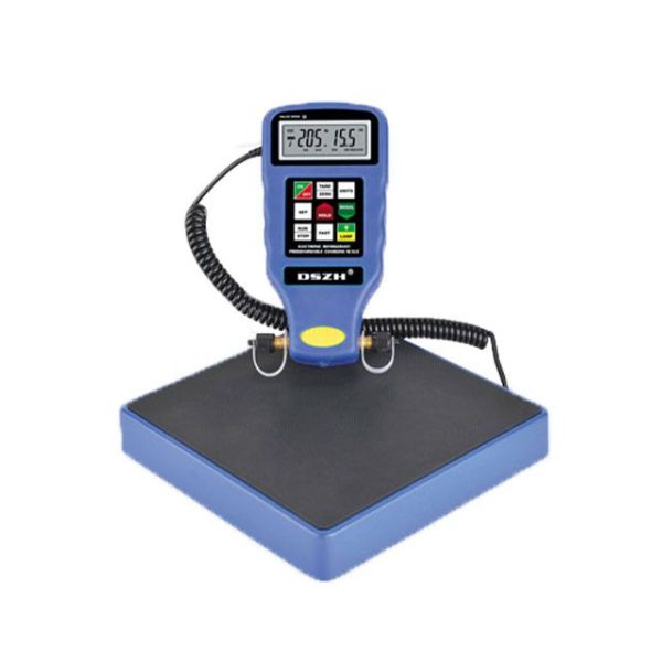 DSZH Charging scale high quality |on RSCO