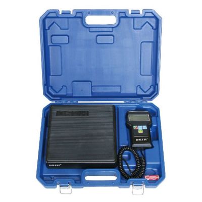 DSZH gas Charging scale
