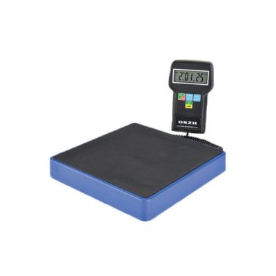DSZH gas Charging scale