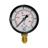 pressure gauge FG/Beta 60 Bar