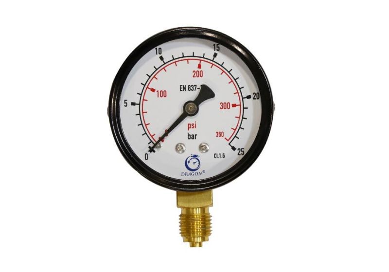 Beta FG pressure gauge 25 Bar