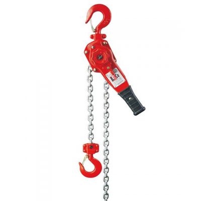 RSCo 2.5 ton short handle chain pulley