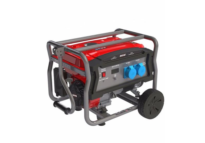 قیمت ژنراتور برق بلک مکس مدل BMGN3200