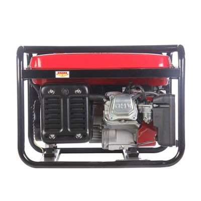 Arva Gasoline Generator model 6110