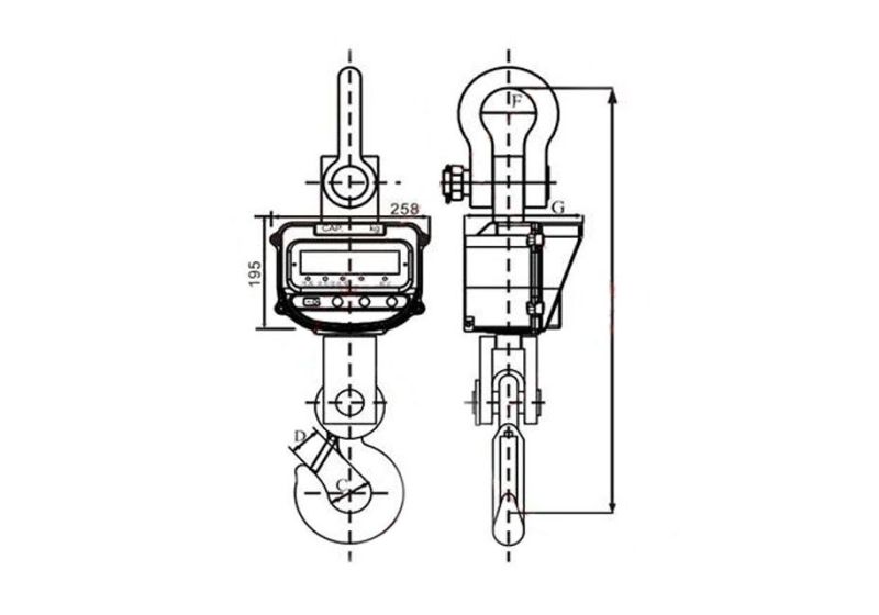 RSCo 600 kg crane hanging scale