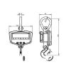 RSCo 300 kg crane hanging scale