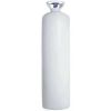 HELIUM Disposable Cylinder 50 liters| RSCo website