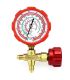 DSZH Manifold rechargeable gauges WK-467-GH/GL