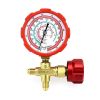 DSZH Manifold rechargeable gauges WK-467-GH/GL|on RSCO