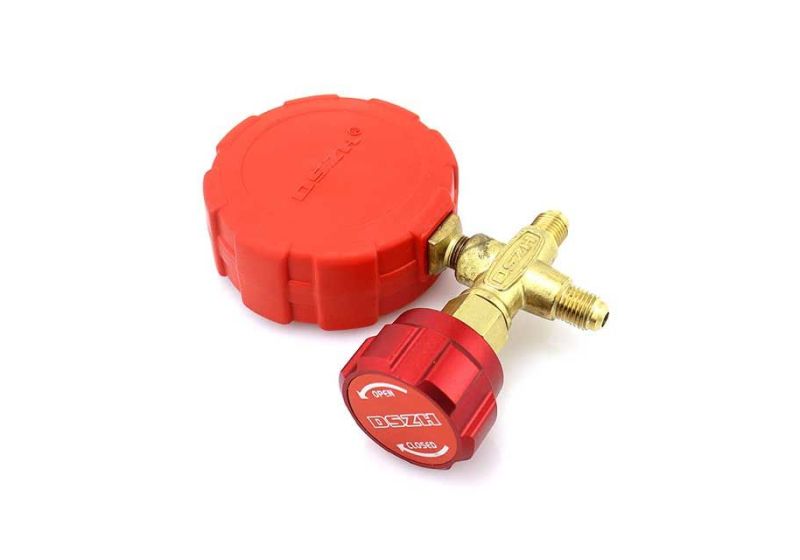 DSZH Manifold rechargeable gauges WK-467-GH/GL|on RSCO