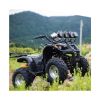 Quad Bike, RSCO |DGN02