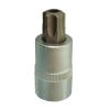 ادوات مأخذ التوصيل لمحرک السيارة مودیل  TTX-1255-20 متوفر بارخص الاسعار و اعلی جودة فی مبیعات رستگار صنعت الصناعی