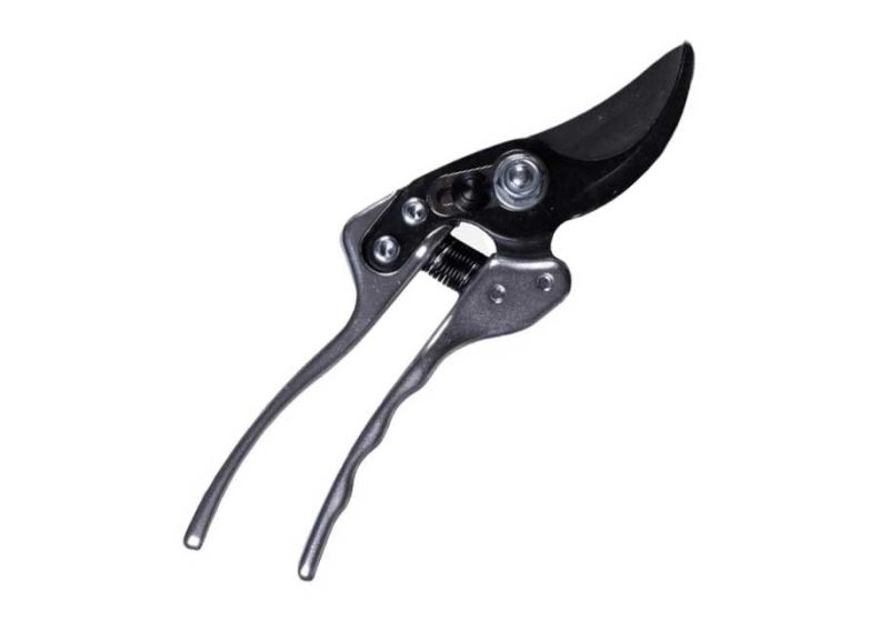 LIGHT Pruning Shears 7025CN | Replaceable blades | low price