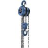 Shepekh chain crane 2 ton model CB02