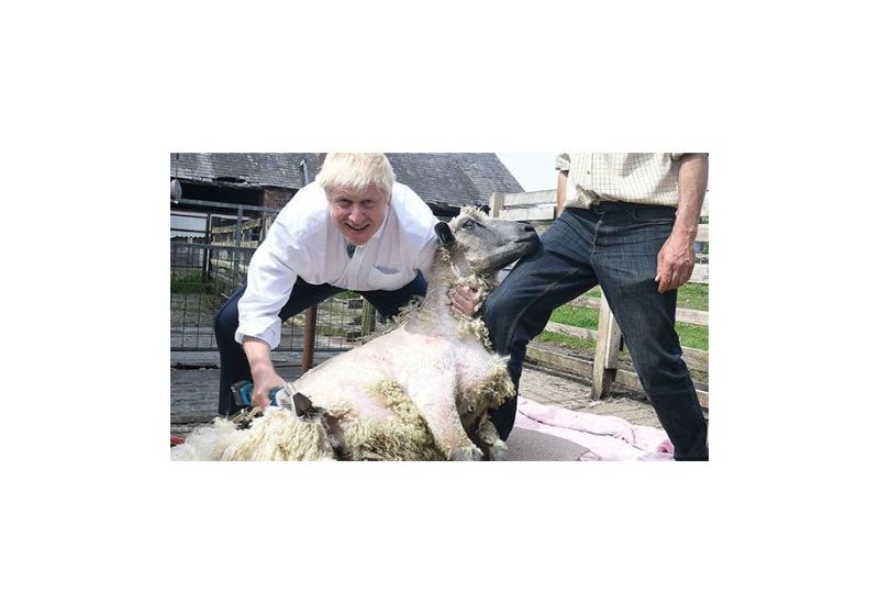 قیمت دستگاه پشم چین صنعتی