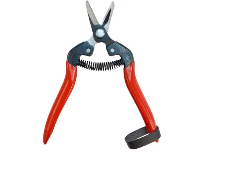 LIGHT Pruning Shears Cutter JH803 |Blade material: SK5 steel