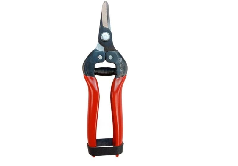 LIGHT Pruning Shears Cutter JH803 |Blade material: SK5 steel