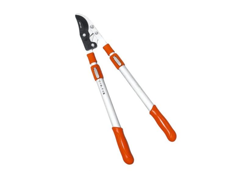 LIGHT Telescopic Lopping Shears 1110TA | low price | RSCo