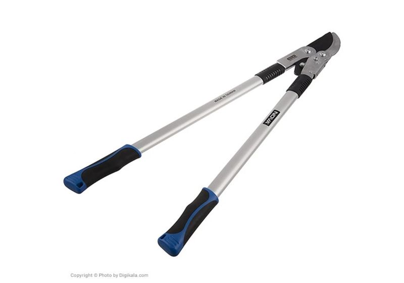 قیچی شاخه زن