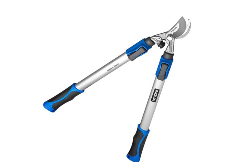 قیچی شاخه زن