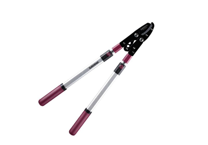 قیچی شاخه زن