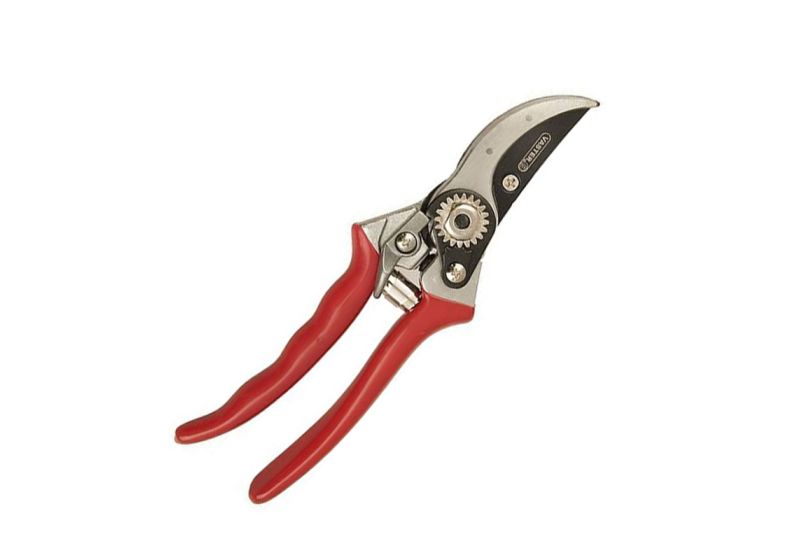 مقصات البستنة تقلیم یدوی PSG متوفر بارخص الاسعار و اعلی جودة فی مبیعات رستگار صنعت الصنعی