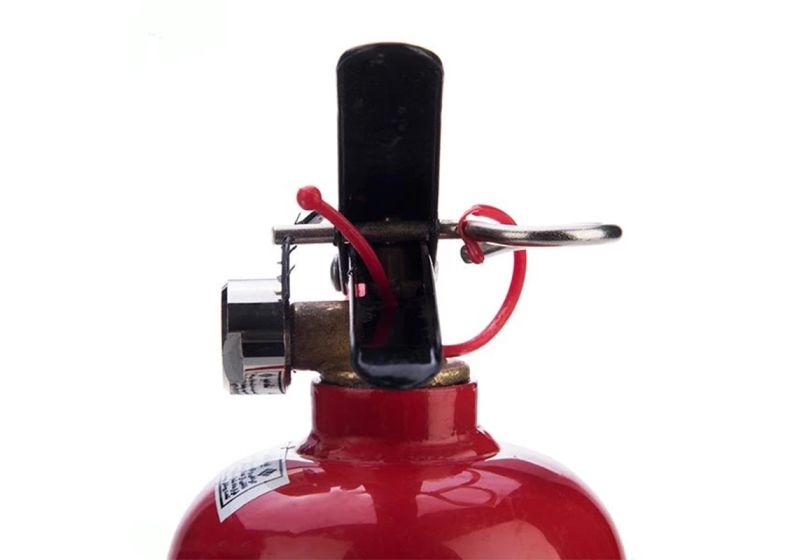 Powder Fire Extinguisher-1 kg |Dezh