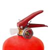 Sea Fire Extinguisher 1 kg |Dezh A-344