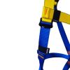 Full Body Safety Harness, Zagros Z1