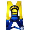 Full Body Safety Harness, Zagros Z1